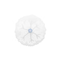 Charles Viancin Snowflake Lid | 6 
