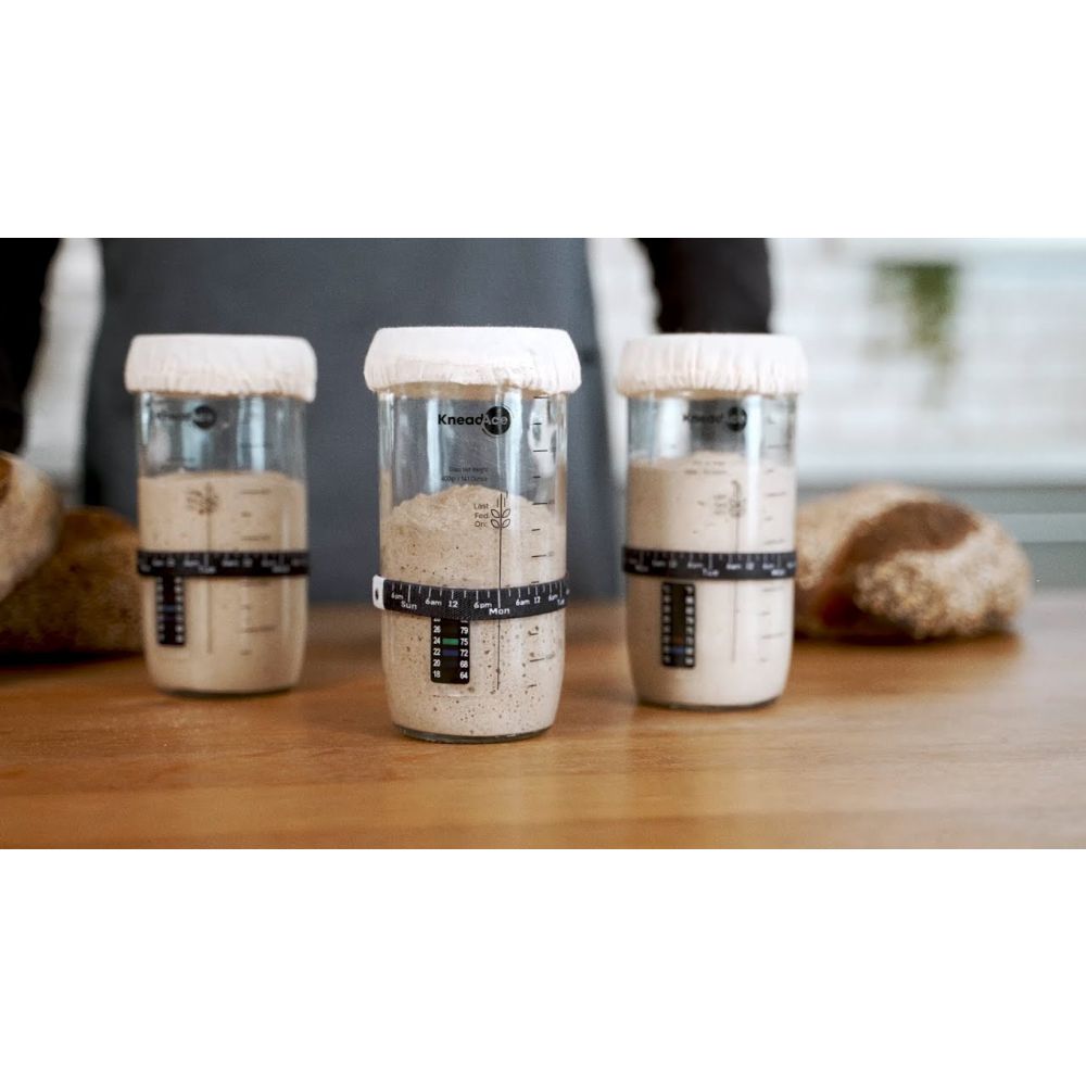 KneadAce 24oz Sourdough Starter Jar - Additional view