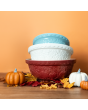 Mason Cash In The Pumpkin Patch 3-Piece Mixing Bowl Set - Additional view